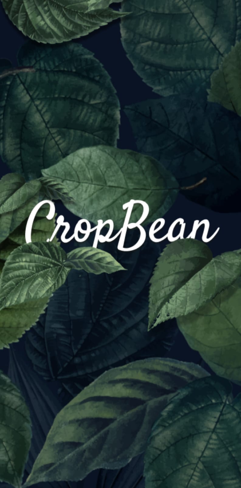 CropBean App Screen 1