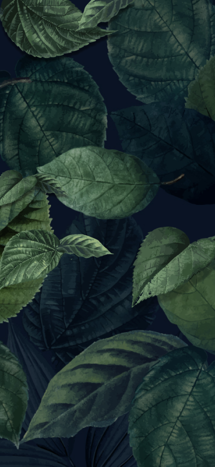 Coffee Leaves Background